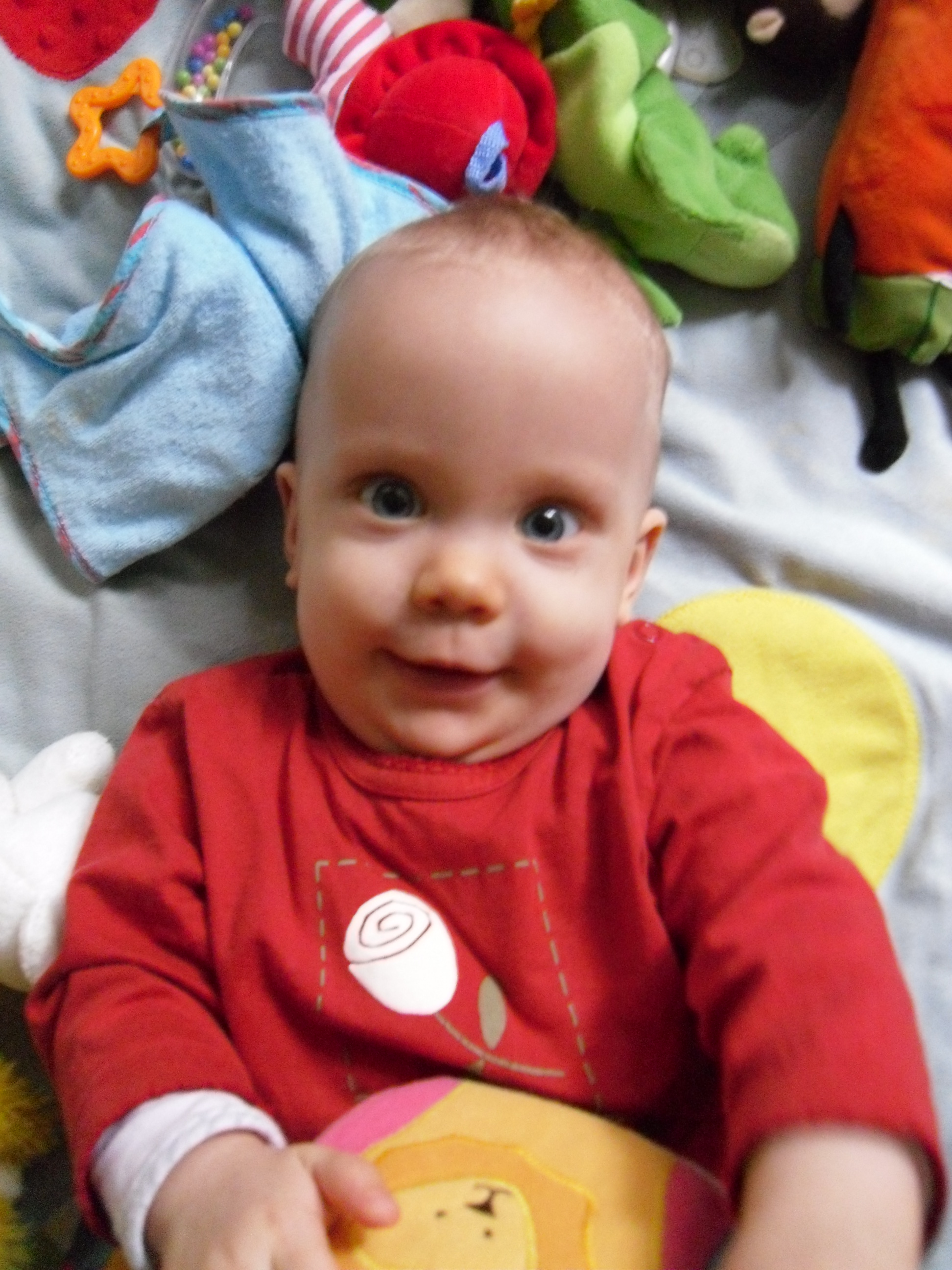 SAM_0567.JPG