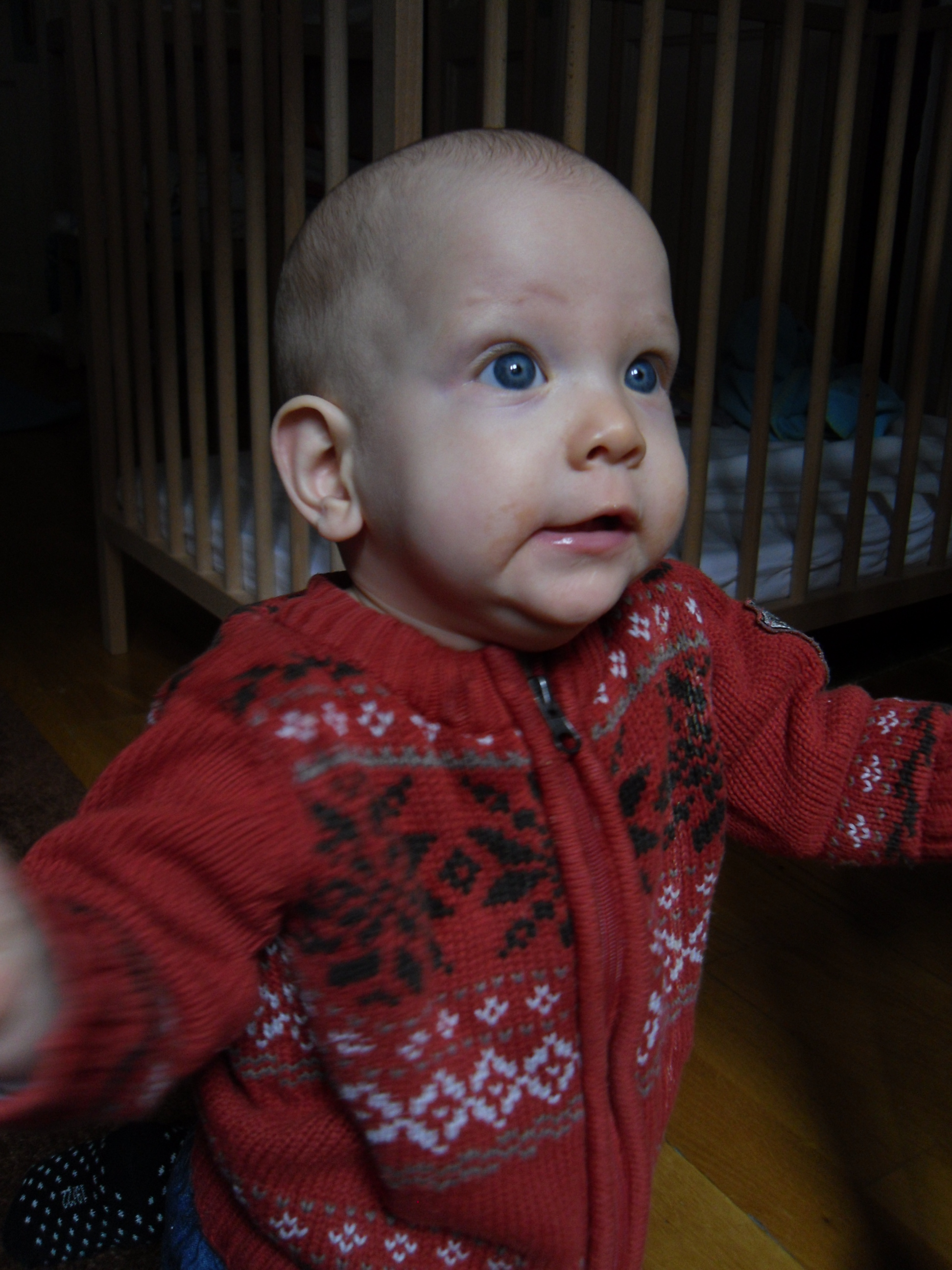 SAM_0594.JPG