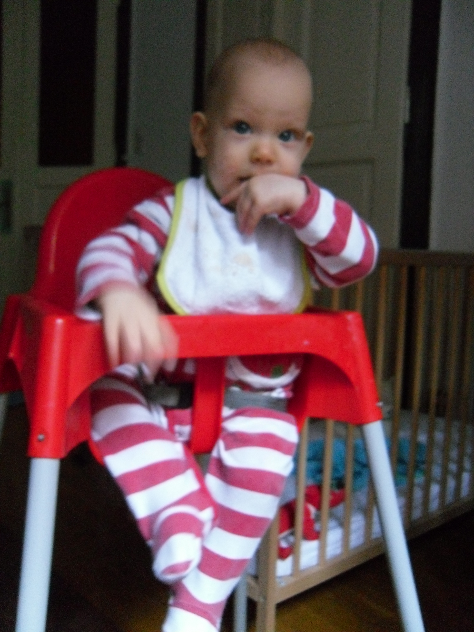 SAM_0697.JPG