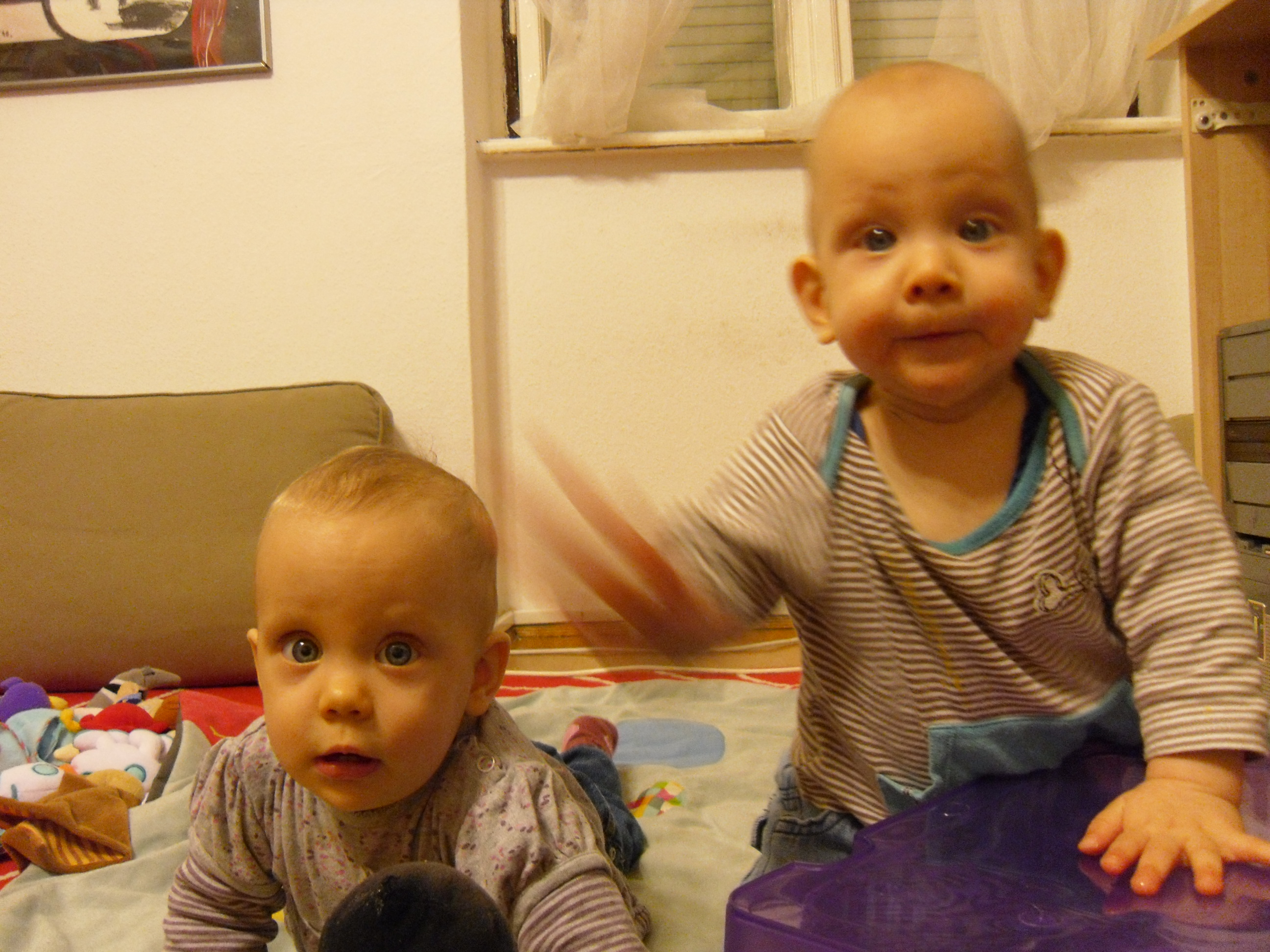 SAM_0708.JPG