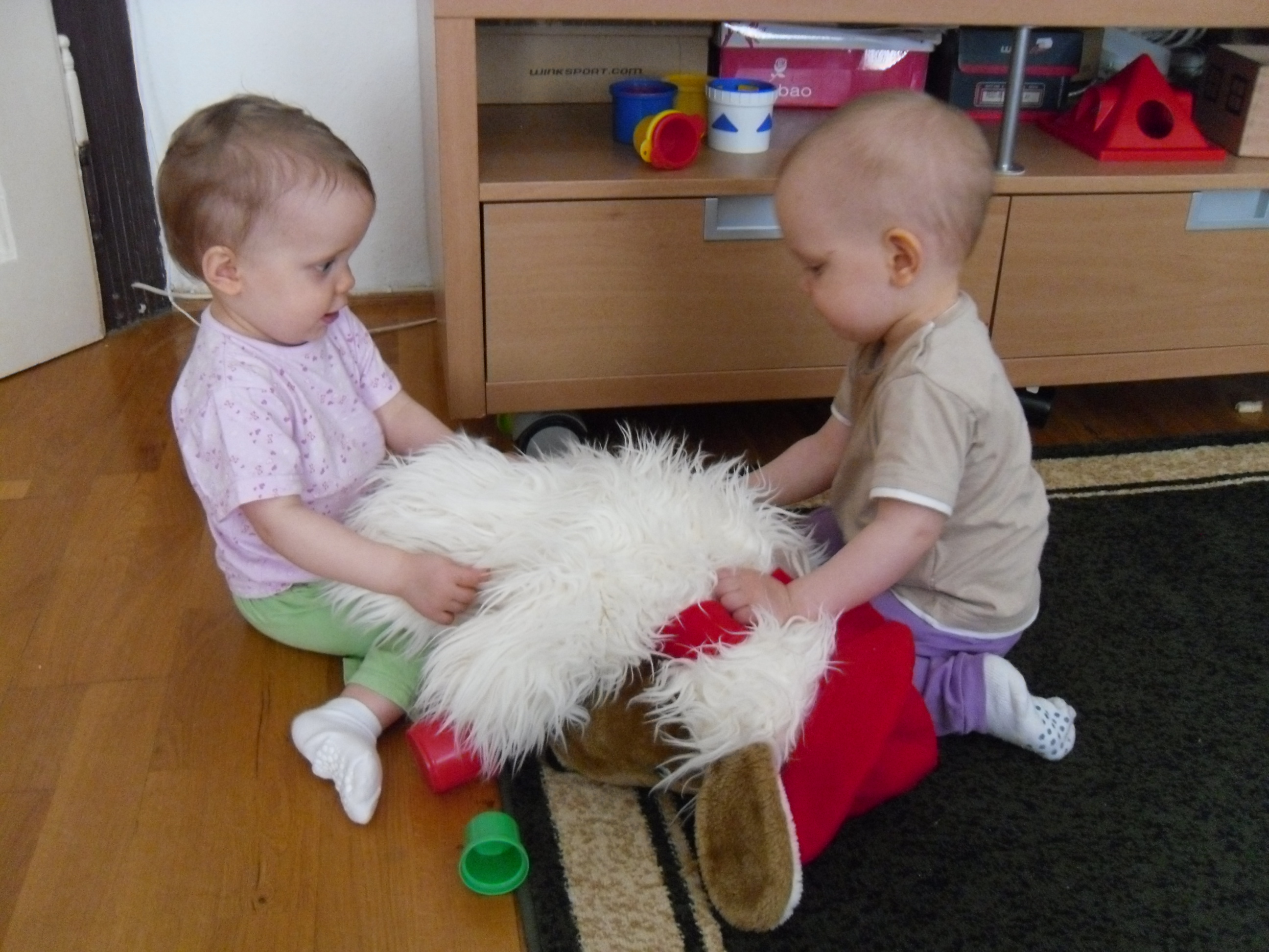 SAM_0739.JPG