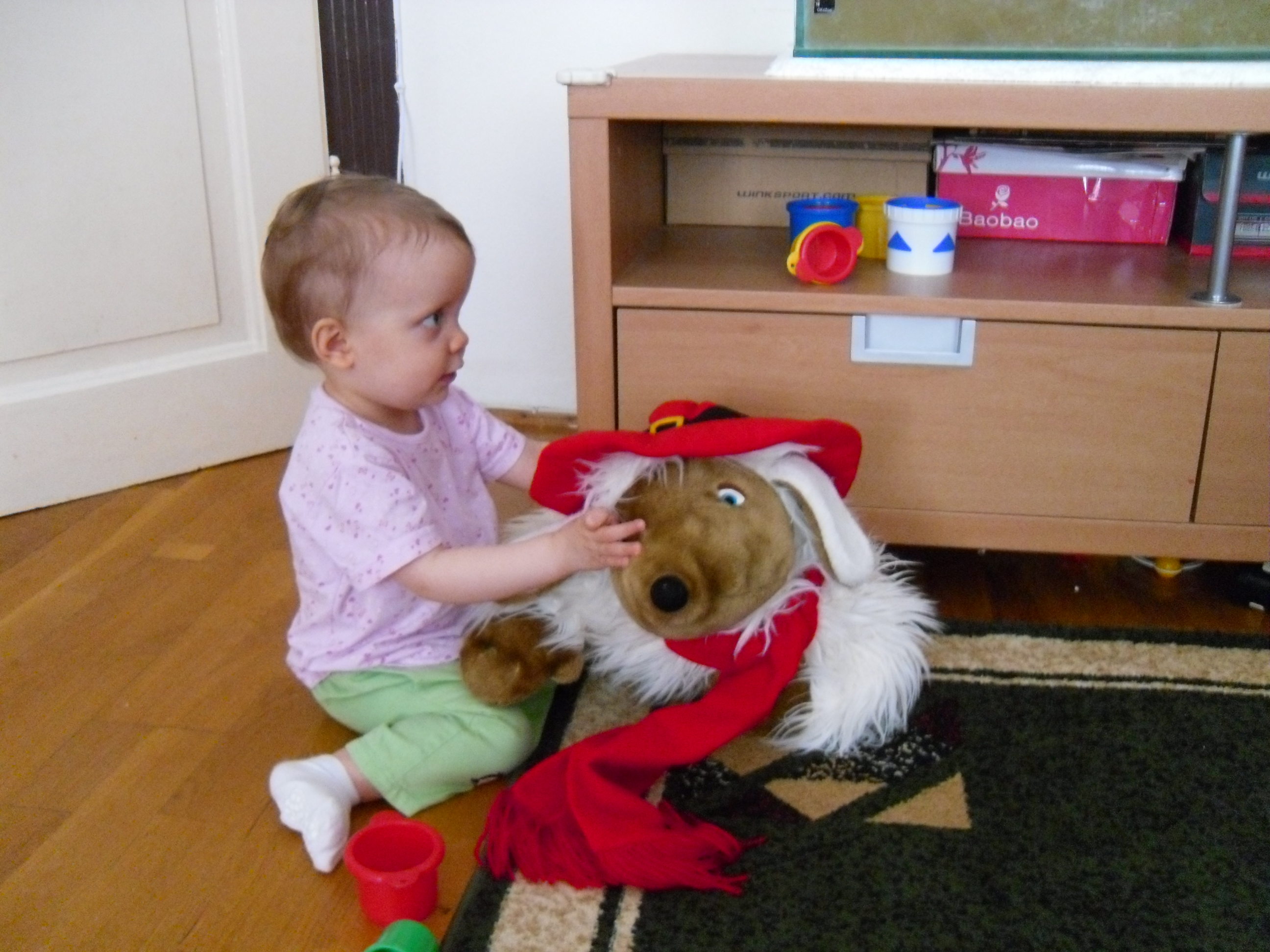 SAM_0740_1.JPG