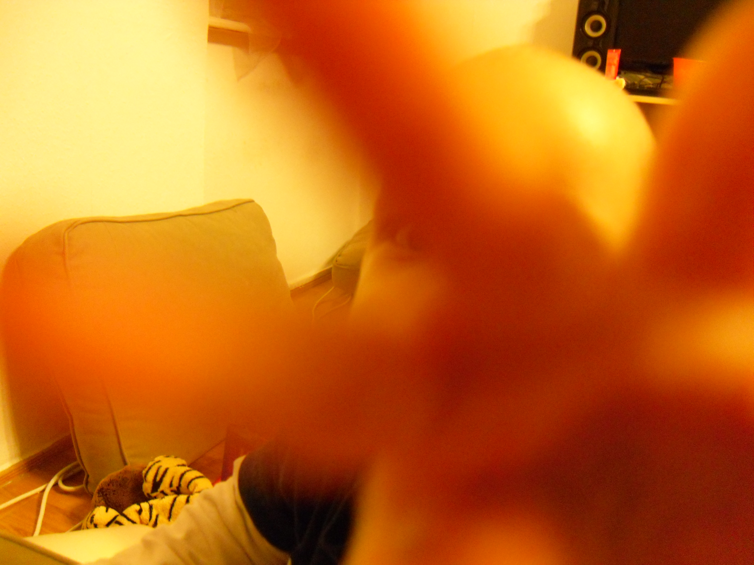 SAM_0840.JPG