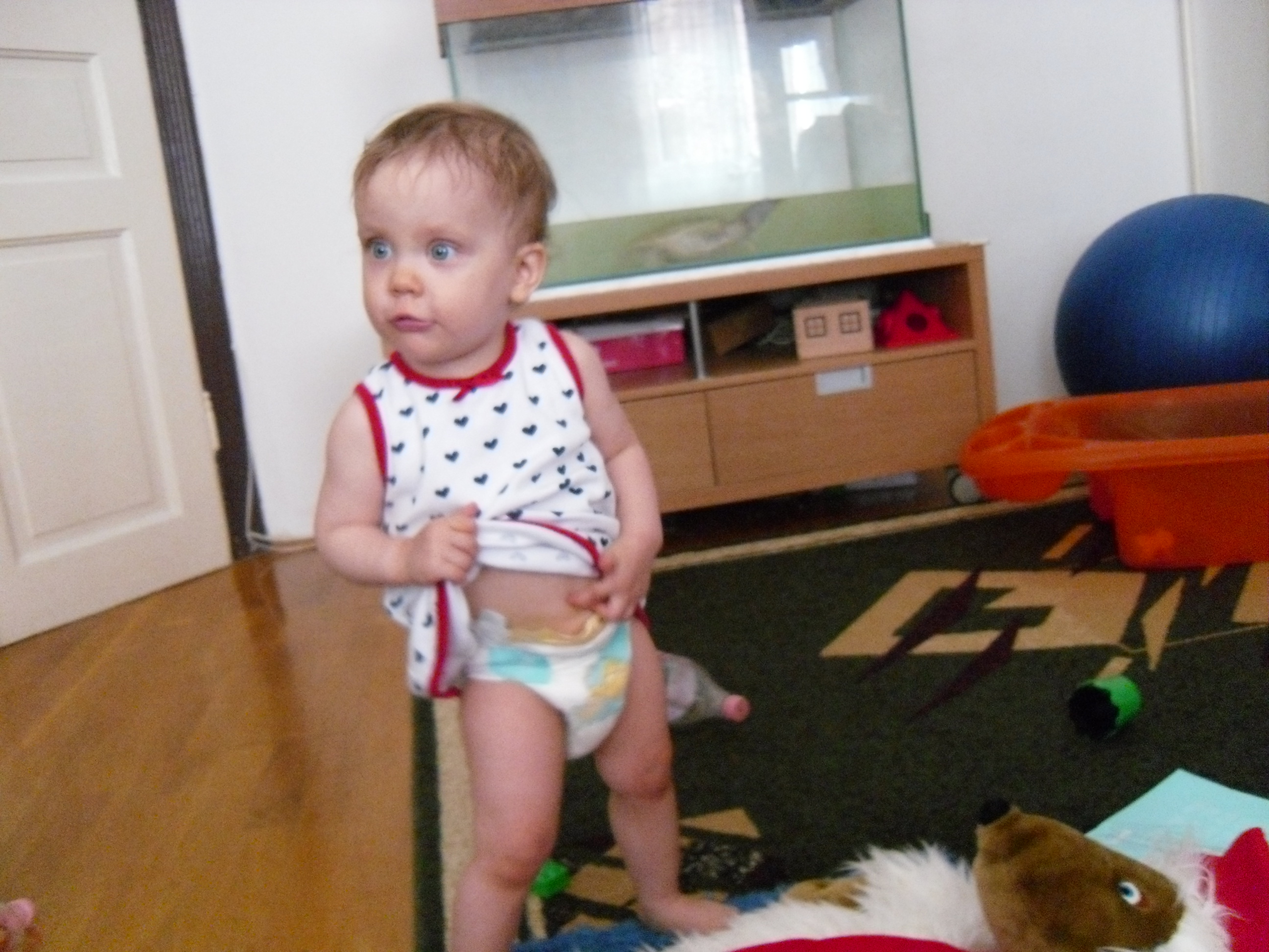 SAM_0871.JPG
