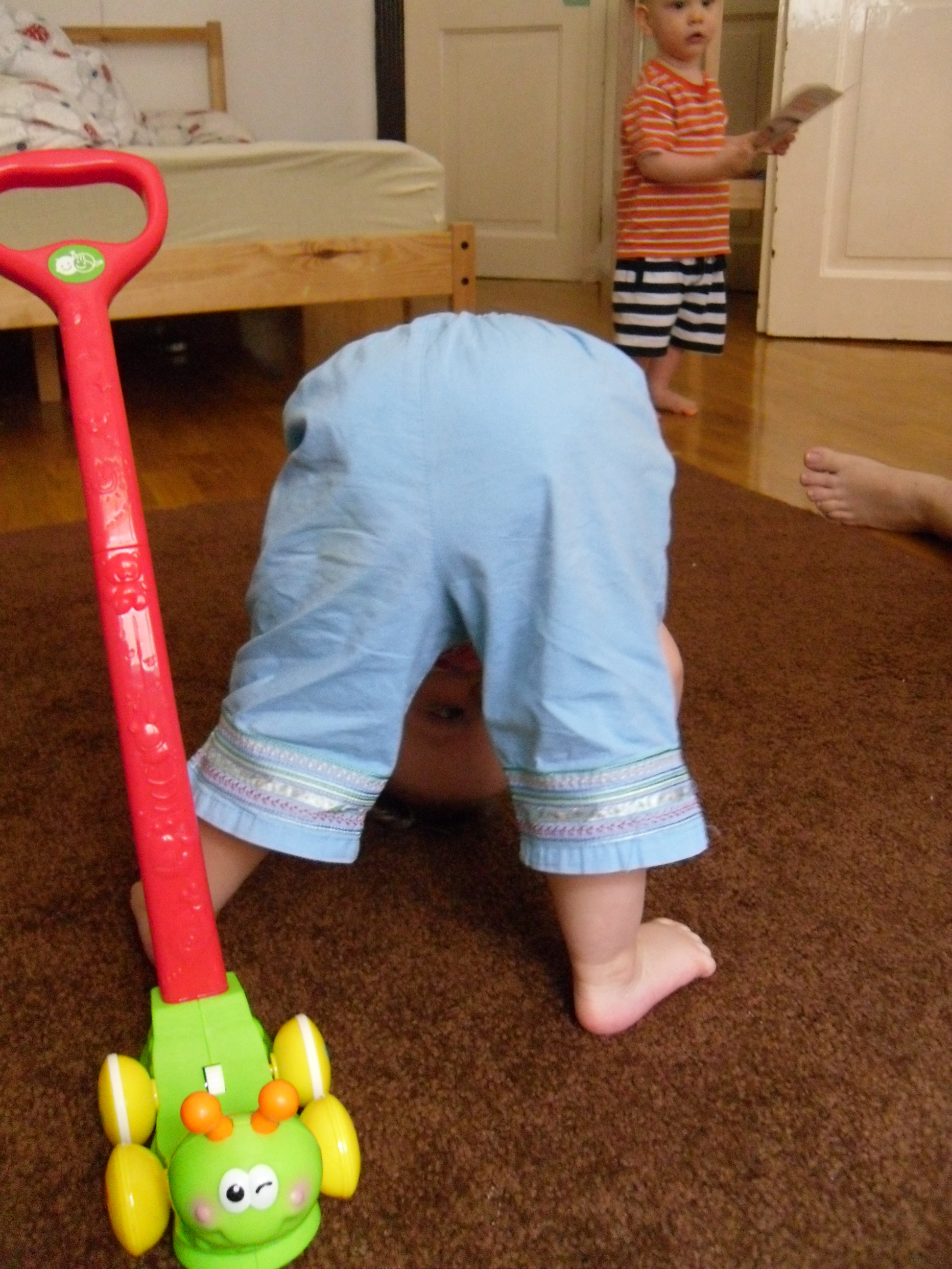 SAM_0882.JPG