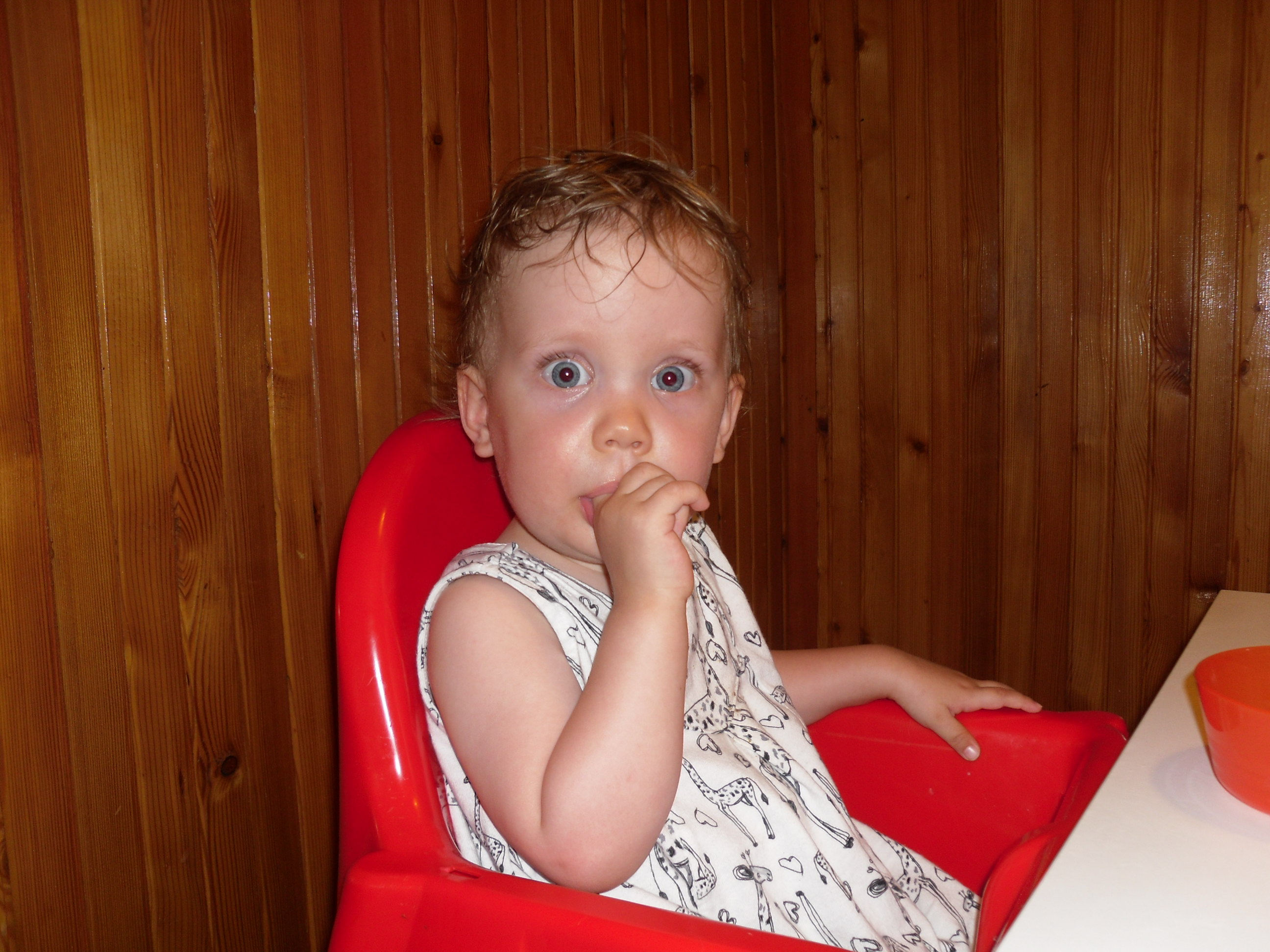 SAM_0985.JPG