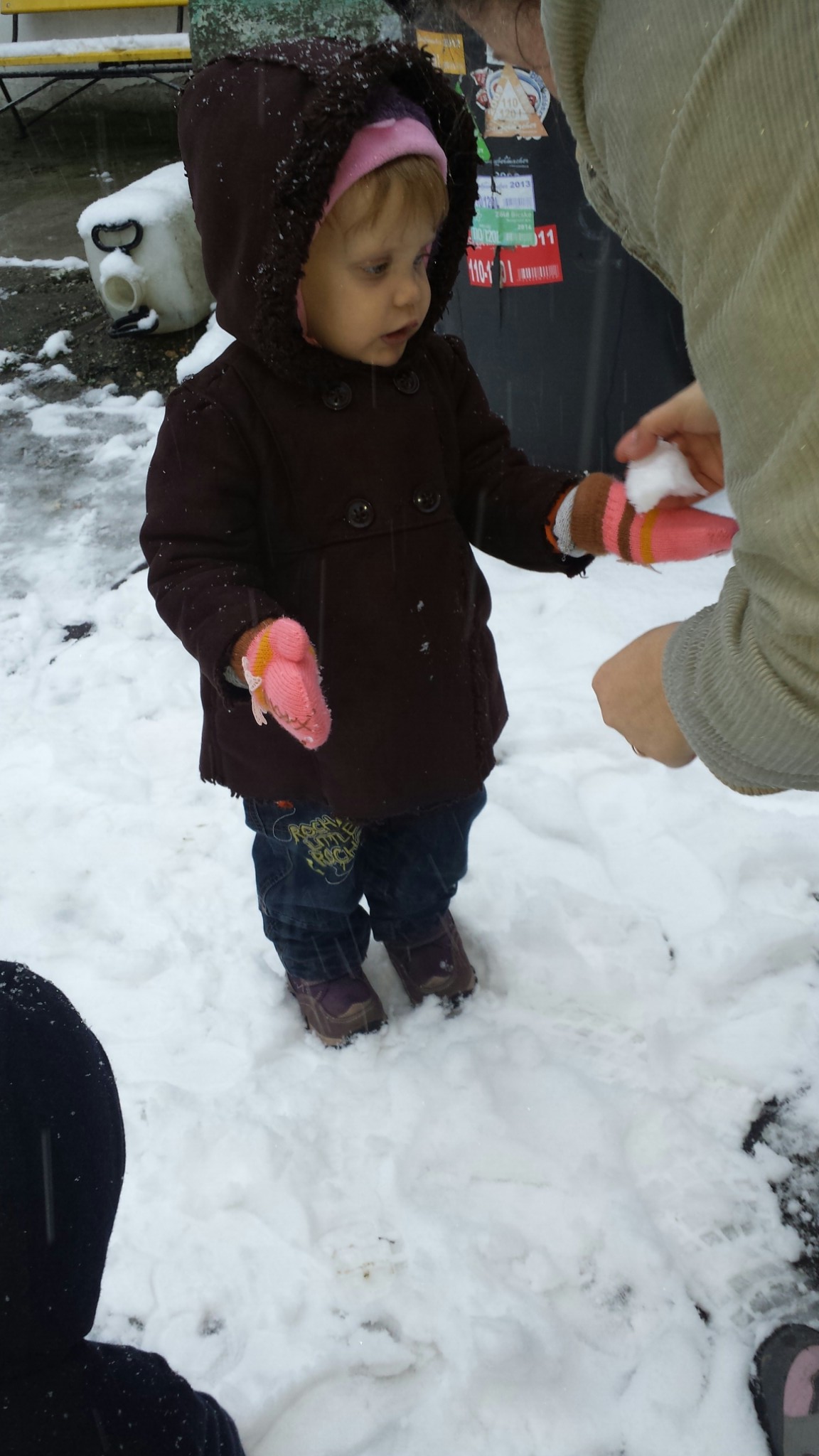 pilisborosjenos_babazas_2015_januar_25_-_2.jpg