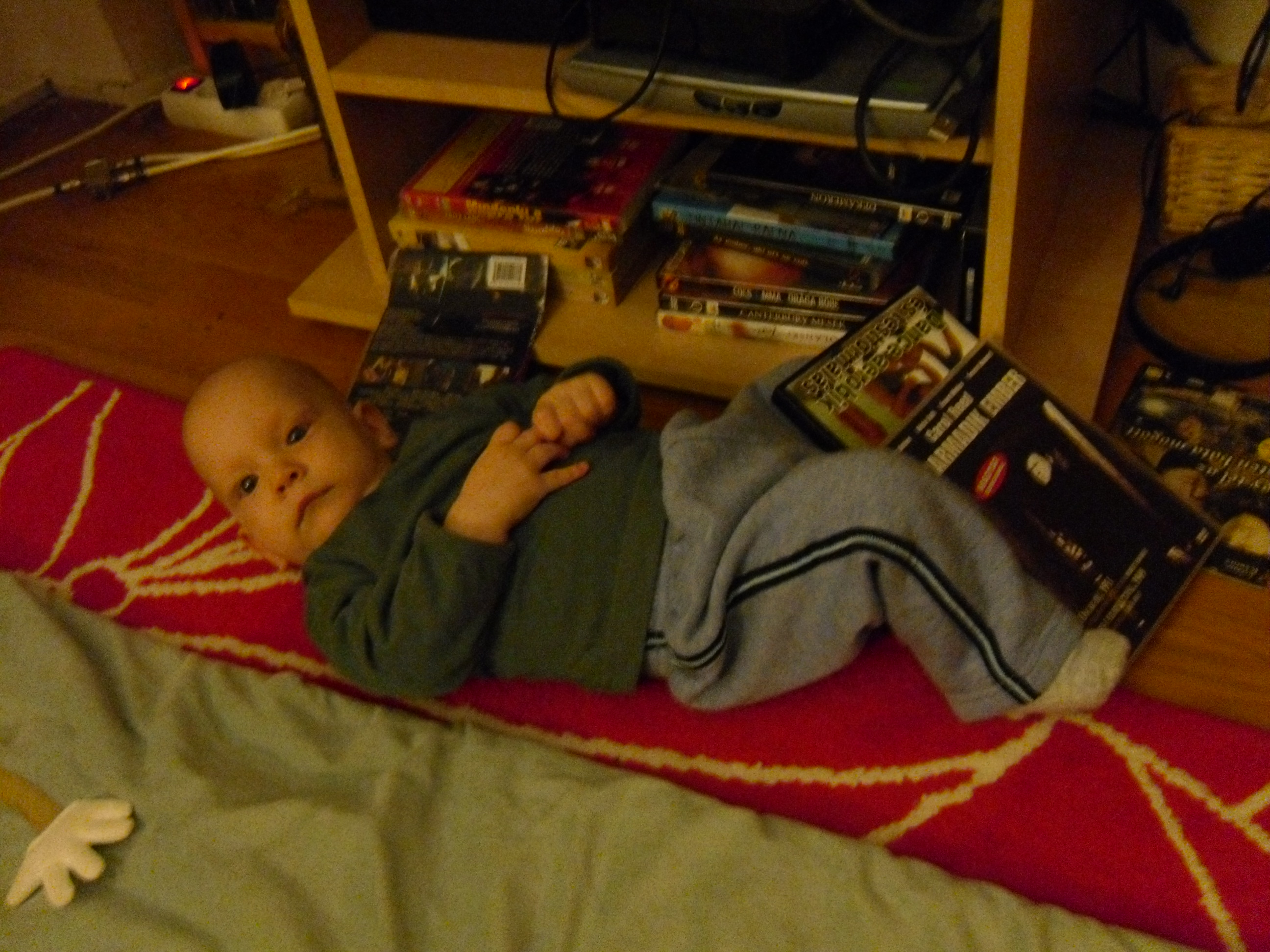 SAM_0531_1.JPG