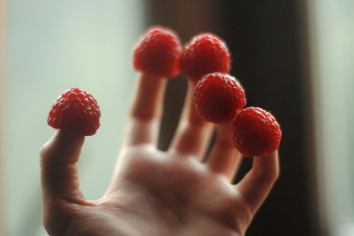 cute-fingers-food-raspberries-raspberry-Favim.com-114324.jpg