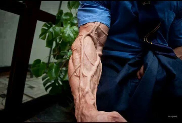 arm-vascularity.jpg