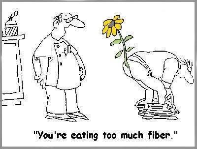funny-eating-too-much-fiber-cartoon.jpg