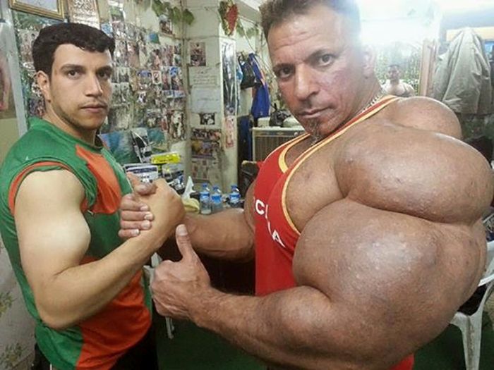 synthol_04.jpg