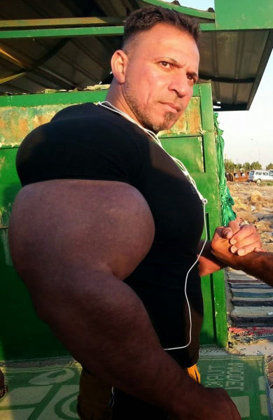 synthol_05.jpg