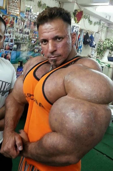 synthol_06.jpg