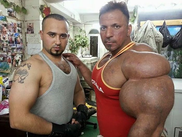 synthol_07.jpg