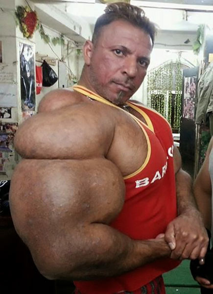 synthol_08.jpg