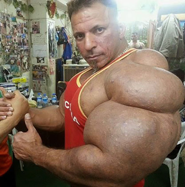 synthol_09.jpg