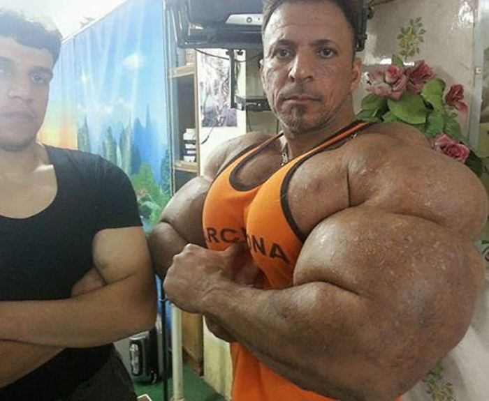 synthol_12.jpg