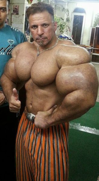 synthol_13.jpg