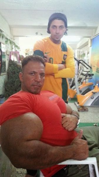 synthol_14.jpg