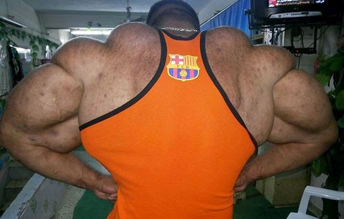 synthol_15.jpg