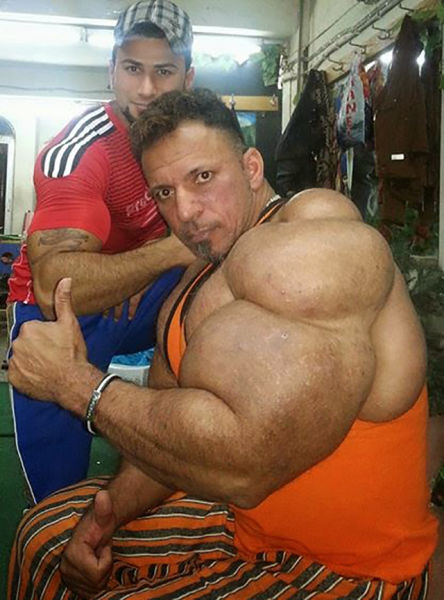 synthol_19.jpg