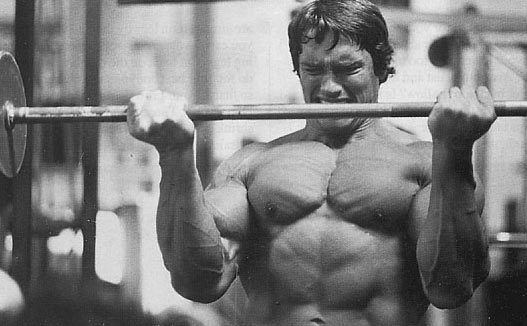 arnold-schwarzenegger-barbell-curl.jpg