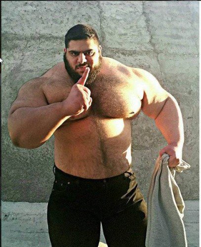 persian-hercules-407x500.jpeg