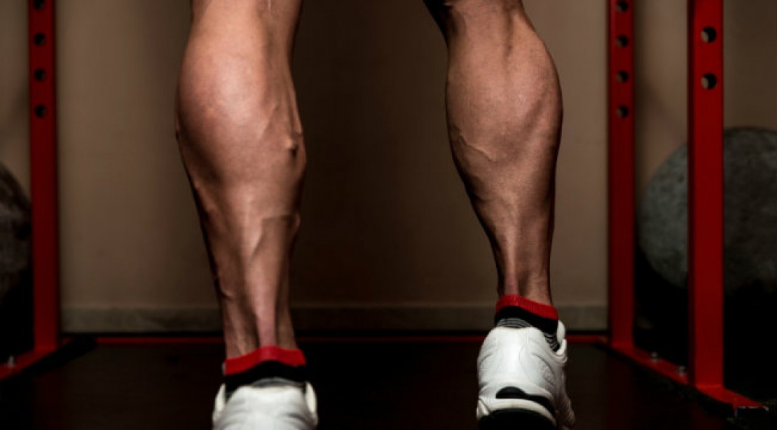 calves_2.jpg