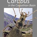 A Kárpát-medencei Carabus-fajok nagykönyve
