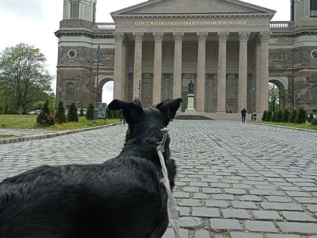 #31 Esztergom, Párkány (és Bogyó első külföldi portyája)