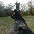 #47 Memento Park, Kamaraerdő