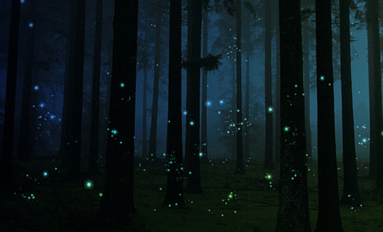 fireflies.jpg