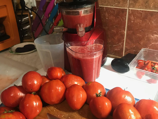 Házi ketchup