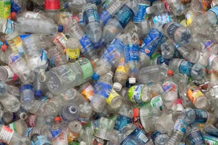 Meg van a megoldás, ami megeszi és hasznosítja az Érden kidobott PET palackokat is?!