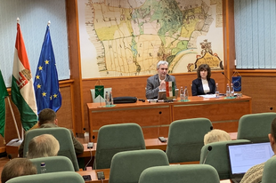 CSŐZIKÉK ADNAK A KULTÚRÁNAK:  Érd új művelődési központ építésére pályázik