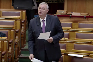 FELFÜGGESZTETTÉK AZ ÉRDI KÉPVISELŐ MENTELMI JOGÁT! Szinte egyhangúan szavaztak a parlamentben