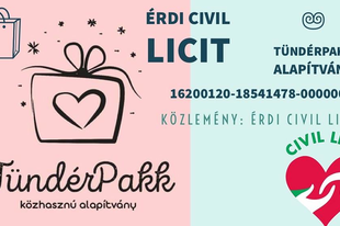 FOLYTATÓDIK A NAGY SIKERŰ ÉRDI CIVIL LICIT! Most 50 érdi családnak segíthet, ha beszáll