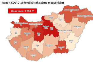 7 ÚJABB FERTŐZÖTTEL VAN TÖBB PESTBEN! Jó lenne tudni a gyógyultakat