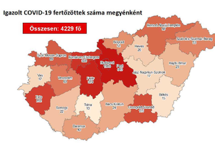 2 HALOTT, 6 ÚJ FERTŐZÖTT! Pest megyében is megtört a trend, 1 új fertőzöttet találtak