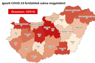 A LEGFRISSEBB PEST MEGYEI HELYZETRŐL TÉRKÉP! Tucatnyi újabb koronavírusos hivatalosan