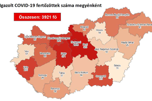 29 KORONAVÍRUSOS FERTŐZÖTT, 5 HALOTT A MÉRLEG! Érd környékén 9 új beteg