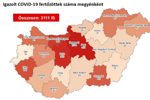 8 ÚJ KORONAVÍRUSOST TALÁLTAK PEST MEGYÉBEN! Inkább a nyugati megyékben tombol a járvány