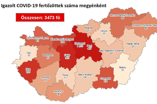 MEGINT TÖBB AZ ÚJ KORONAVÍRUSOS A KÖRNYÉKEN! Ráadásul Fejér megyében 15(!) új fertőzött