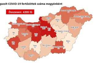 NINCS HALOTT, 16 ÚJ FERTŐZÖTTET REGISZTRÁLTAK! Nálunk egy új beteget regisztráltak