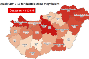 EGÉSZEN DÖBBENETES KORONAVÍRUS ADATOK: 33(!) halott, közel 1300 új fertőzött