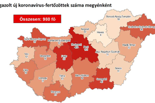 HOLNAPRA MEG LESZ A 200. FERTŐZÖTT PEST MEGYÉBEN? Mi lenne, ha sokat tesztelnének?