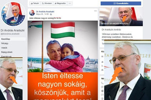 ÉS IGEN! Sikerült Érd “képviselőjének először köszöntenie a gazdikát születésnapján