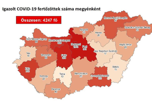 ISMÉT NINCS HALOTT, 13 ÚJ FERTŐZÖTT! Pest megyében 1 új fertőzöttet találtak