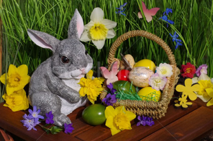 Elképzelhető Önök szerint, hogy Érden igazán ünnepeljük a húsvétot? Ne a csokinyulat?